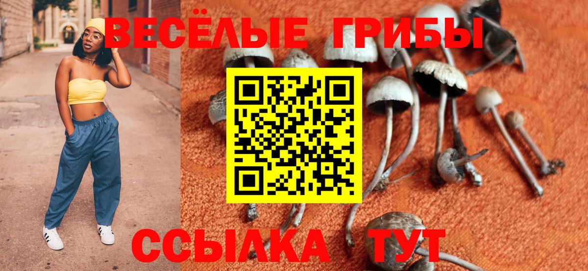 Галлюциногенные грибы Psilocybine cubensis  Вход с VPN  Галлюциногенные грибы Magic Shrooms  купить  цена  Саранск 